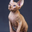 Sphynx Hairless Cat Diamond Painting - Beige / Full Square