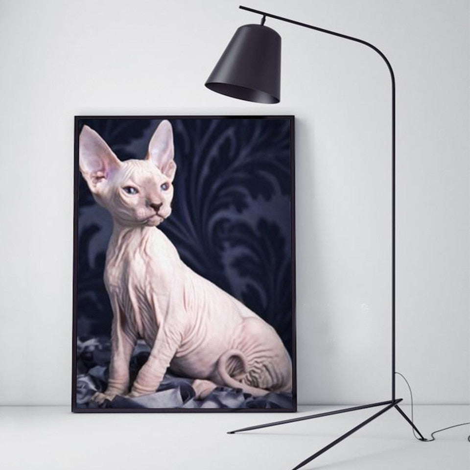 Sphynx Hairless Cat Diamond Painting