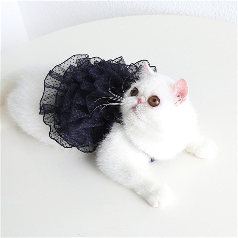 Black and shop white cat dress