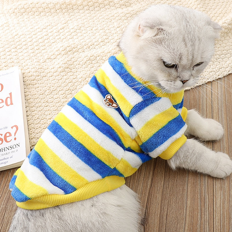 Spring Clothes for Cats - Clothes for cats