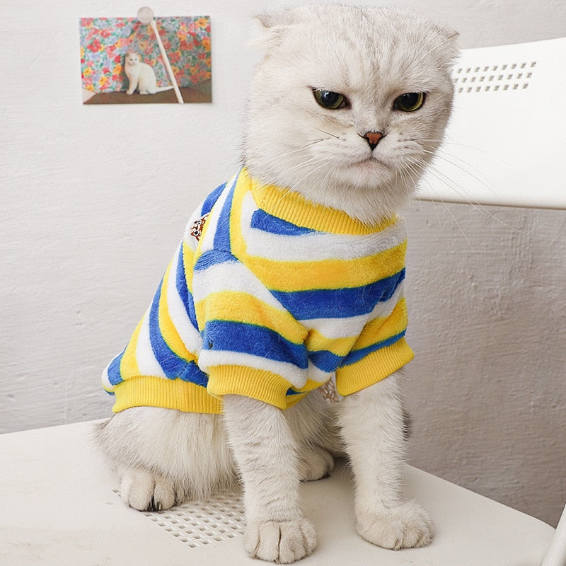 Spring Clothes for Cats - Yellow Blue / S - Clothes for cats