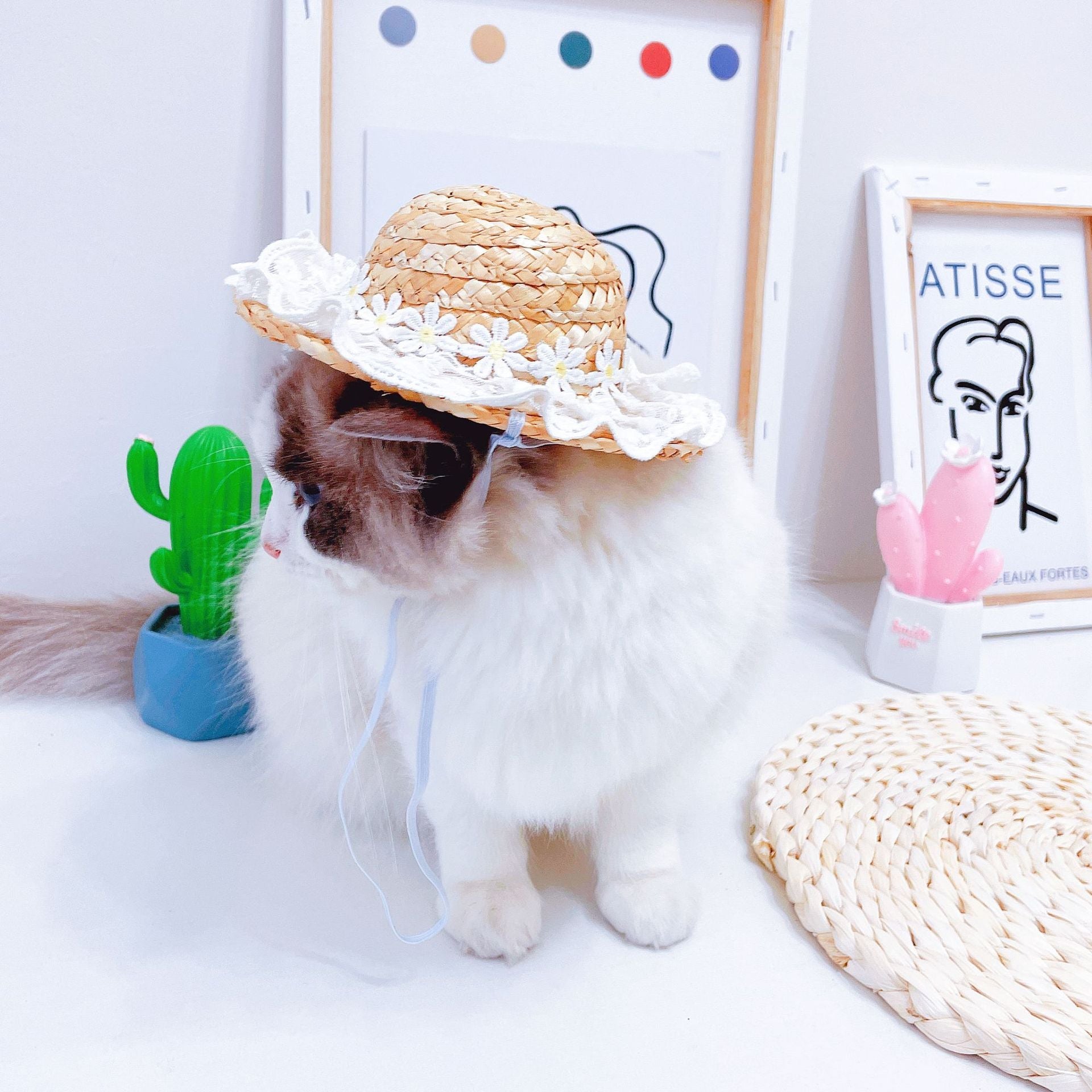 Spring Hat for Cats - Hat for Cats