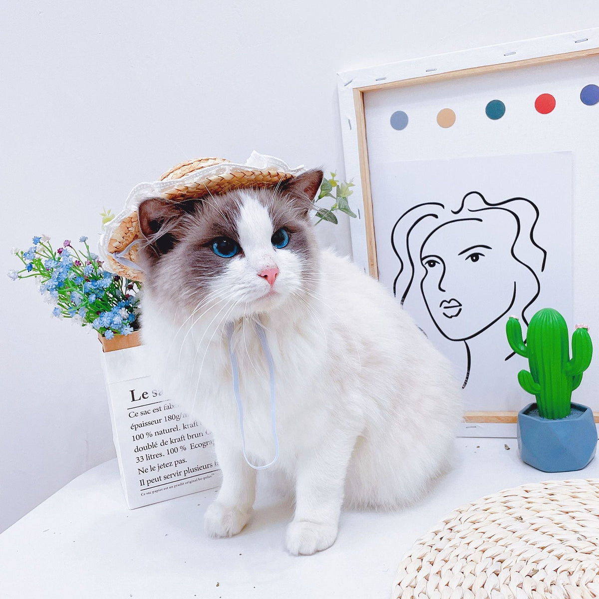 Spring Hat for Cats - Hat for Cats