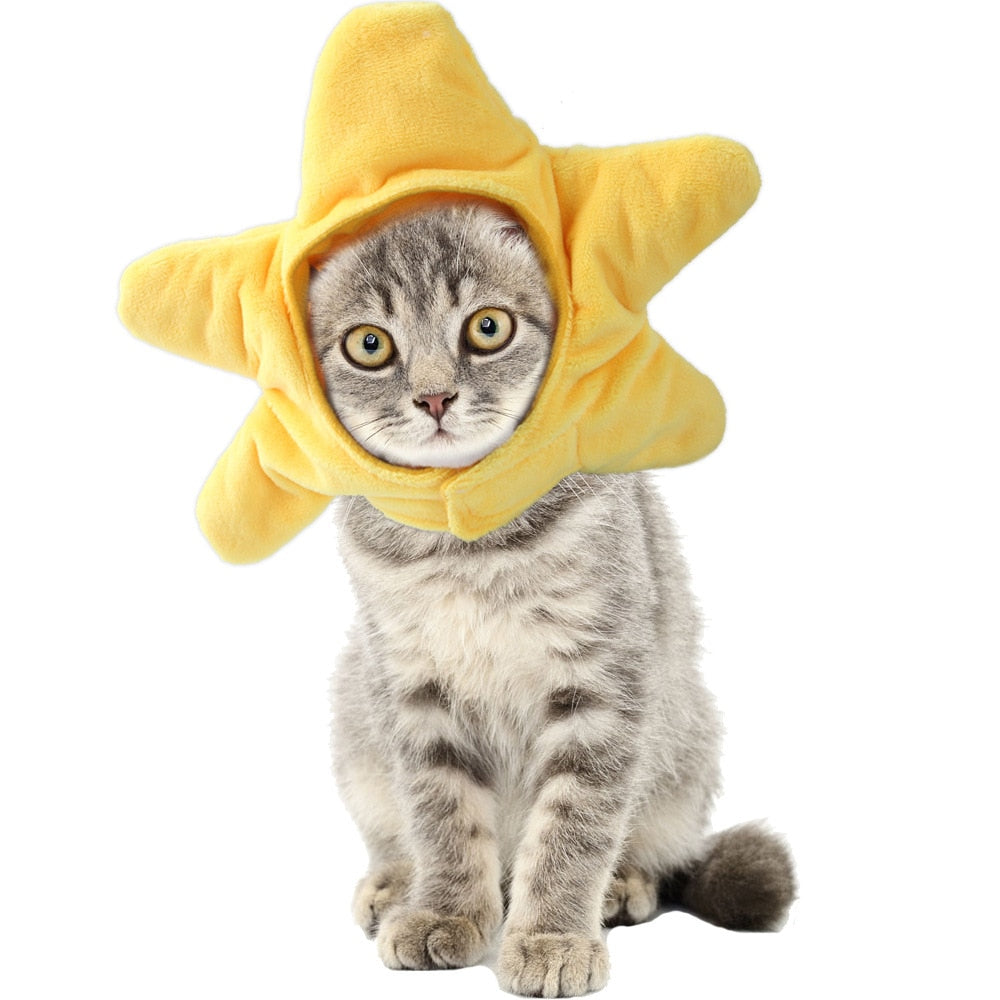Star Hat for Cats - Hat for Cats