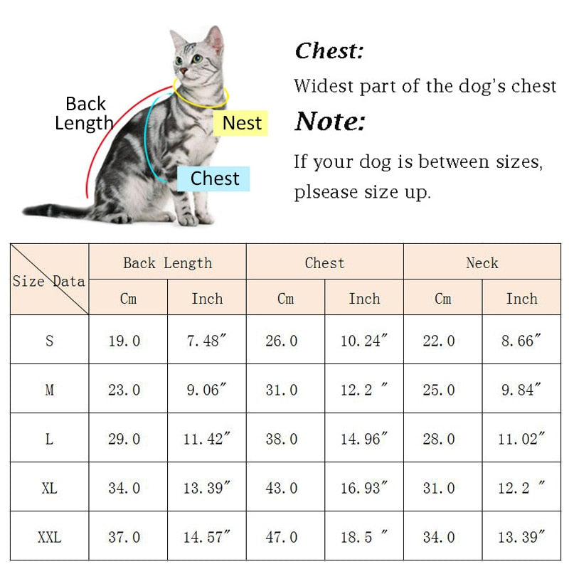 Starry Winter Jacket Clothes for Cats - Clothes for cats