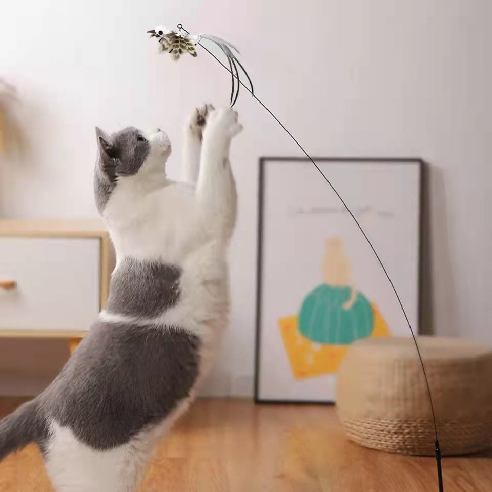 Stick Cat Toy - Cat Toys