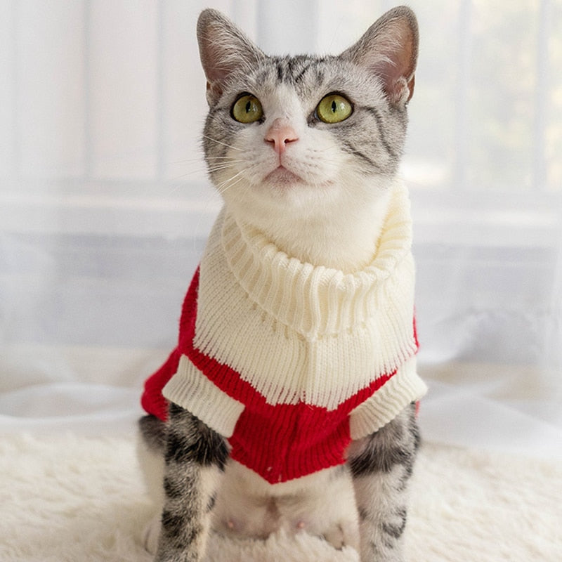 Strawberry Clothes for Cats - Clothes for cats