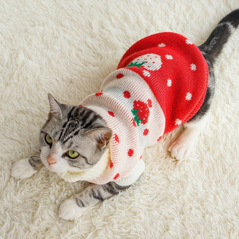Strawberry Clothes for Cats - Clothes for cats