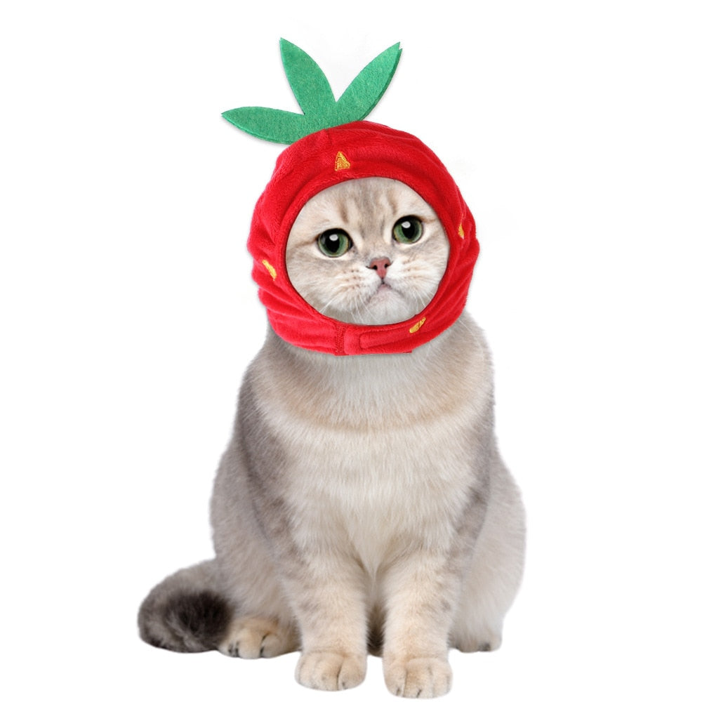 Strawberry Hat for Cats - Hat for Cats