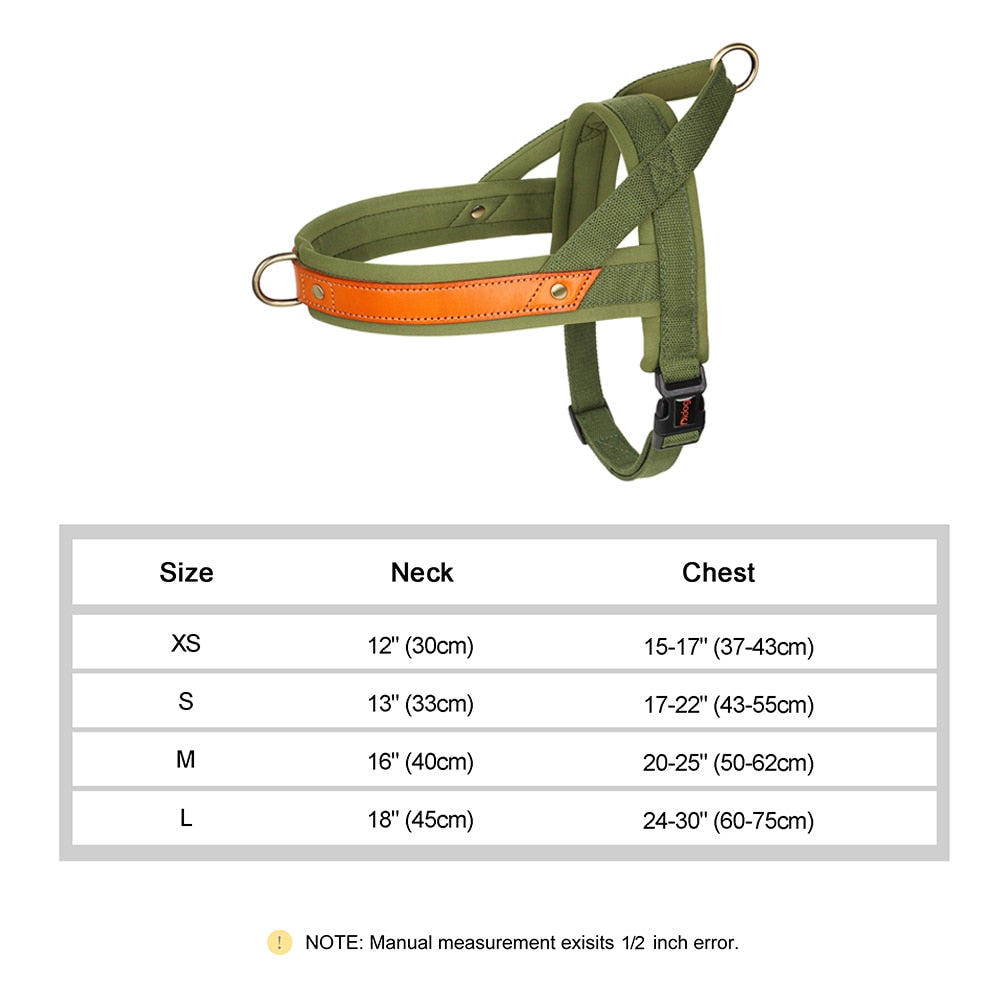 Stray Cat Harness - Green / XS