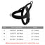 Stray Cat Harness - Charcoal / XS