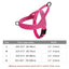 Stray Cat Harness - Deep Pink / XS
