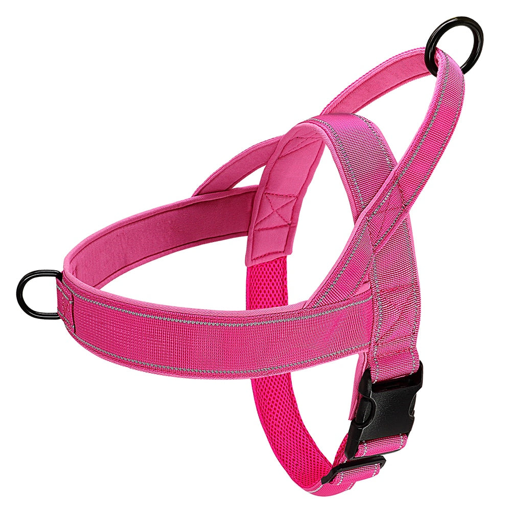 Stray Cat Harness
