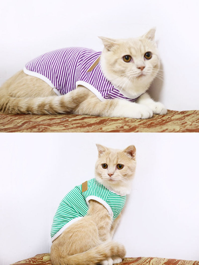 Striped Clothes for Cats - Clothes for cats