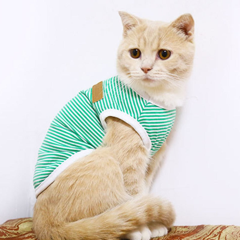 Striped Clothes for Cats - Clothes for cats