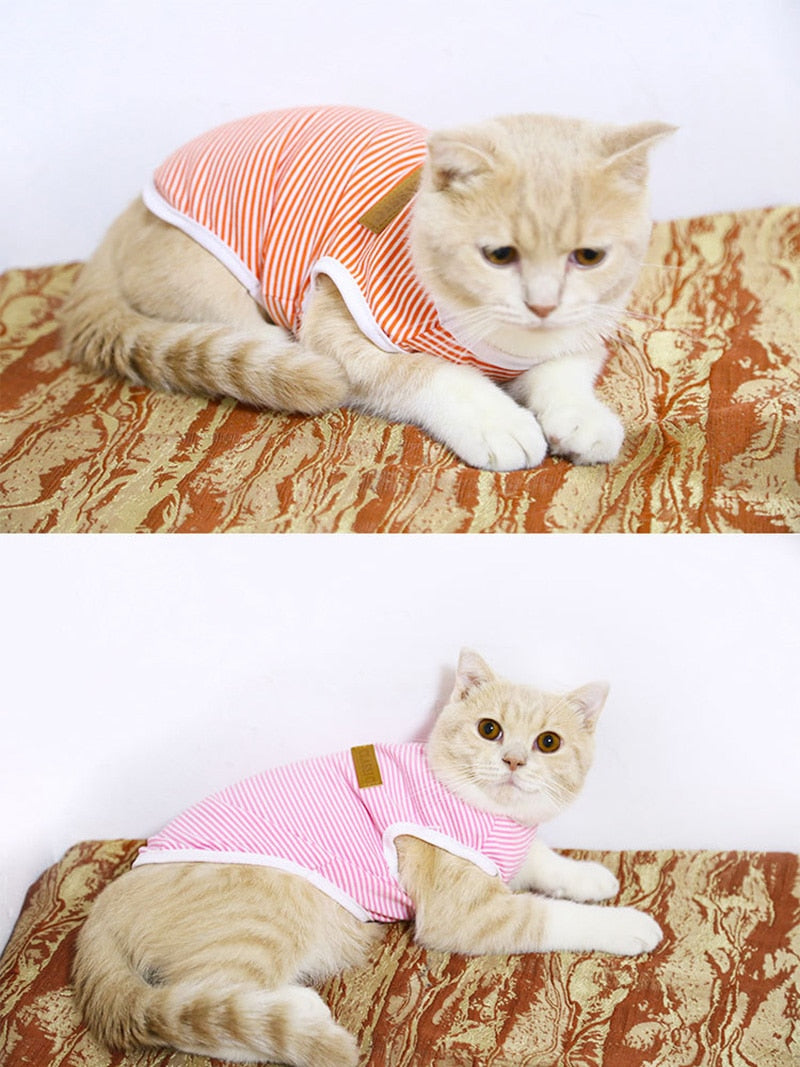 Striped Clothes for Cats - Clothes for cats