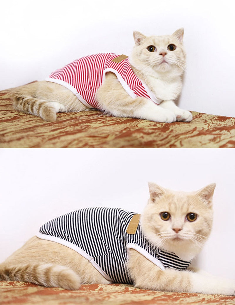 Striped Clothes for Cats - Clothes for cats