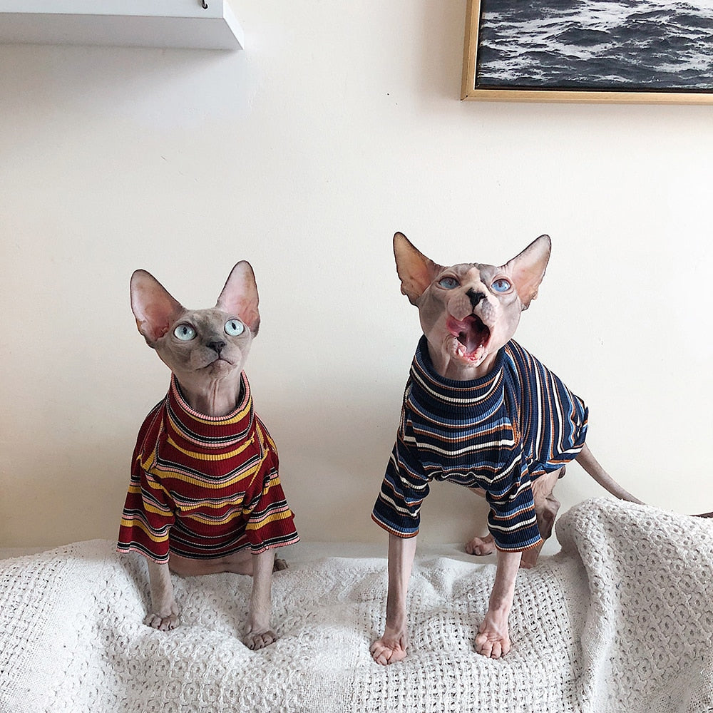 Striped Knitted Clothe for Cats - Clothes for cats