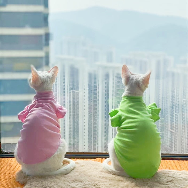 Summer Cat Clothes - Clothes for cats