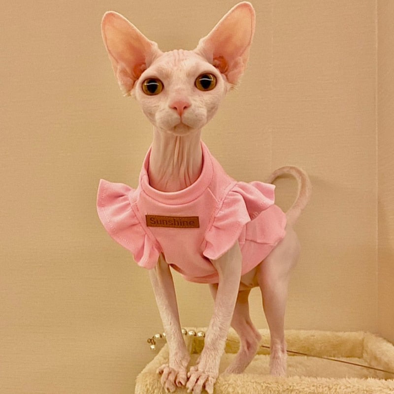 Summer Cat Clothes - Clothes for cats