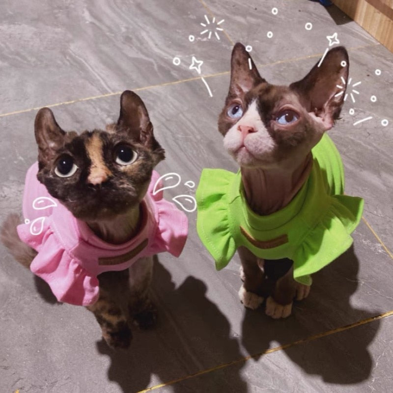 Summer Cat Clothes - Clothes for cats