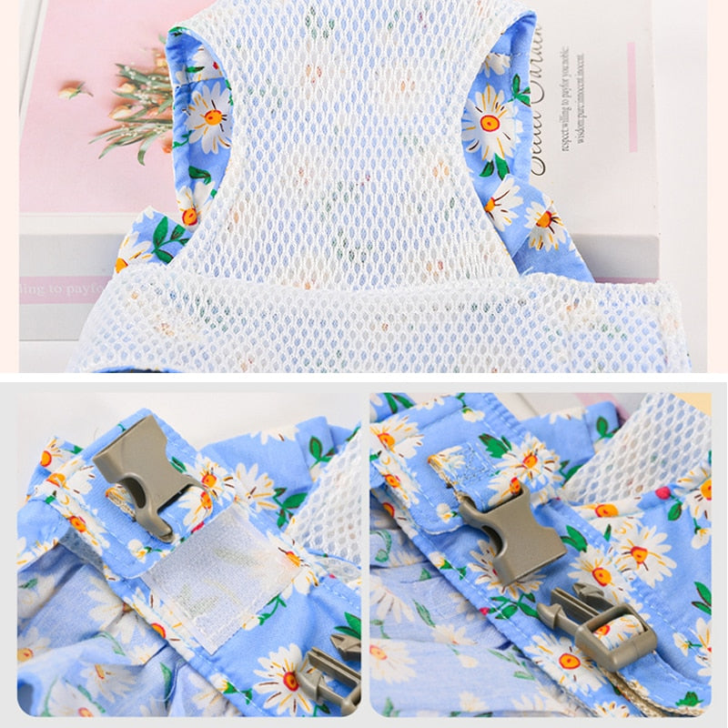 Summer Cat Dress