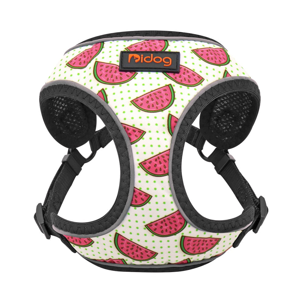 Summer Cat Harness - White / XS
