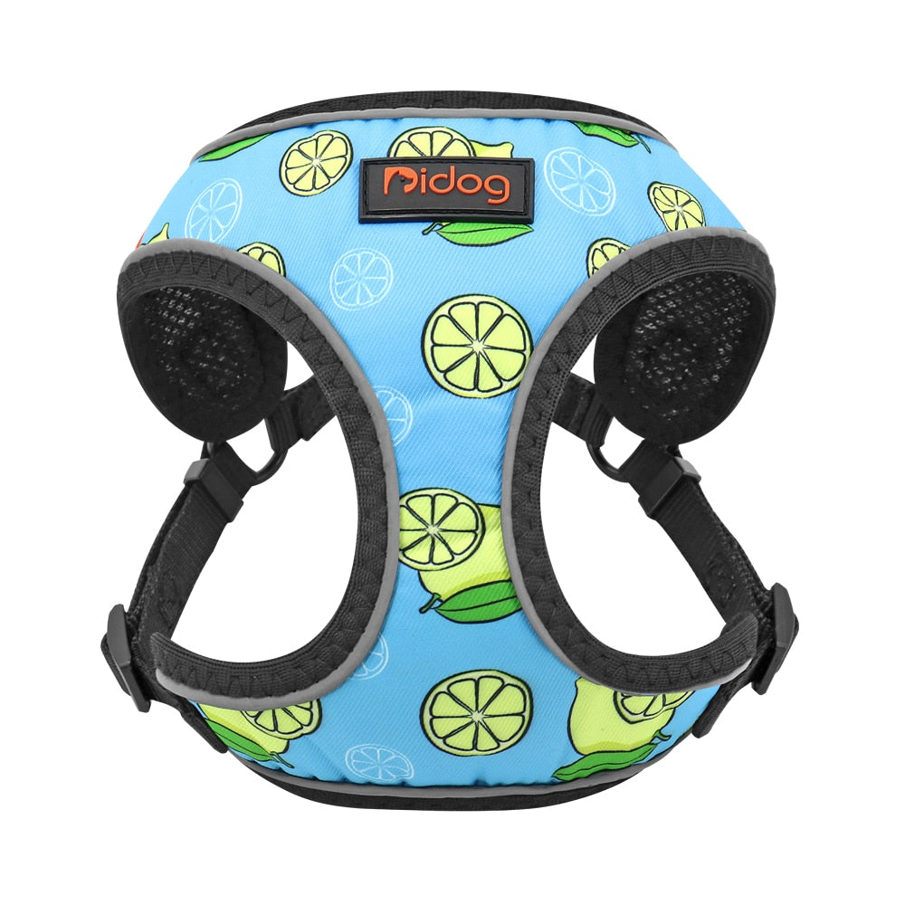 Summer Cat Harness - Light Blue / XS