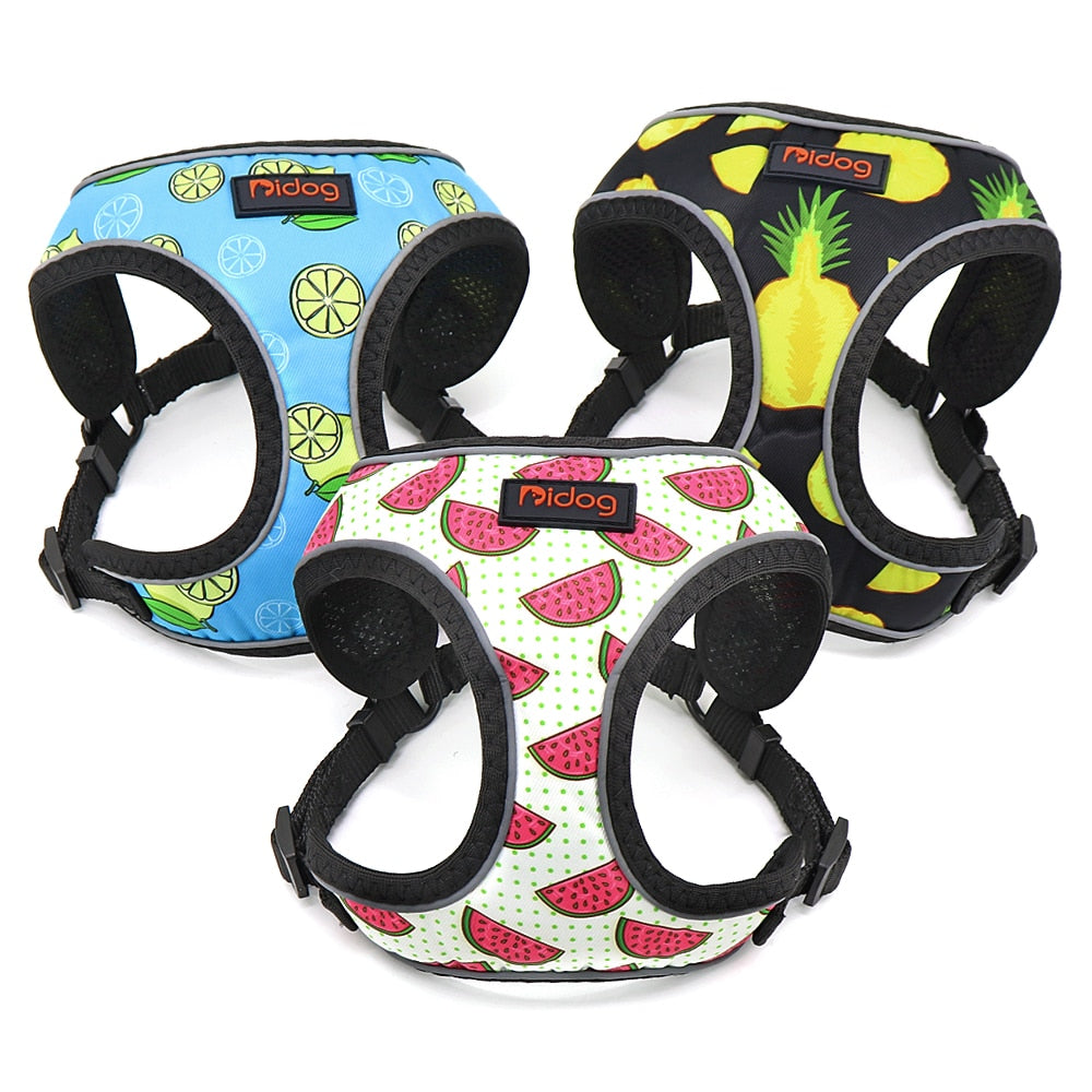 Summer Cat Harness