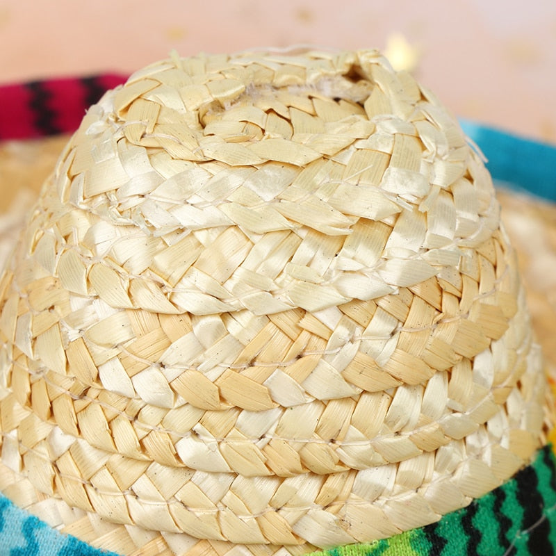 Summer Hat for Cats - Hat for Cats