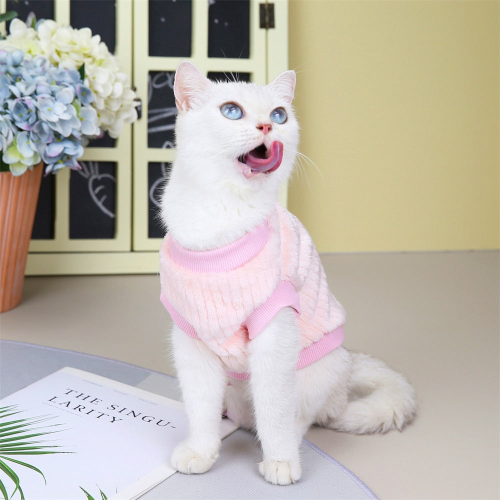 Sunflower Clothes for Cats - Clothes for cats