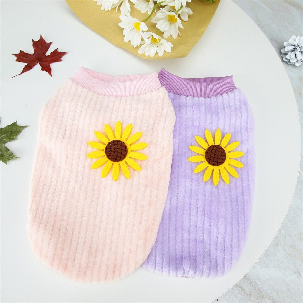 Sunflower Clothes for Cats - Clothes for cats