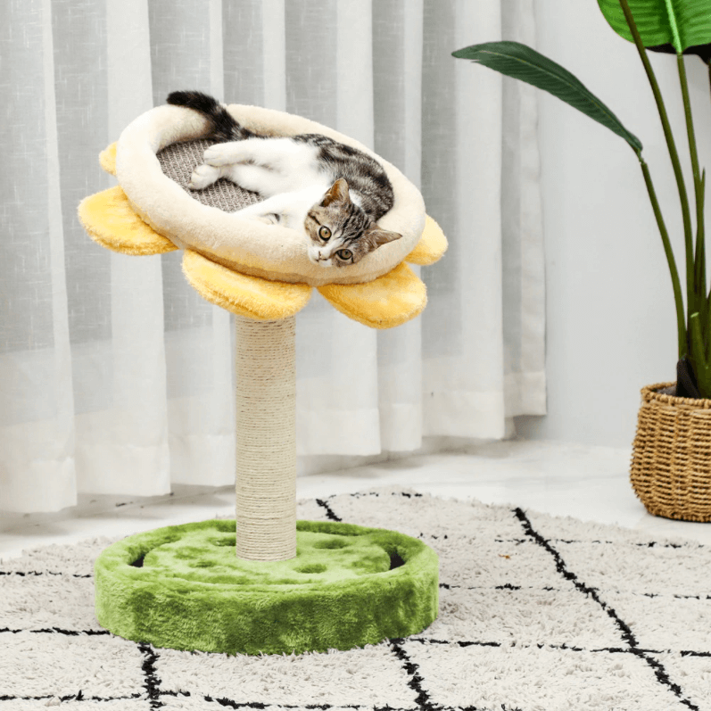 sunflower-scratching-post