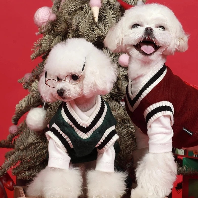 Sweater Clothes for Cat - Clothes for cats