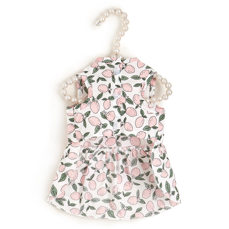 Sweet Bow Clothes for Cats - Clothes for cats