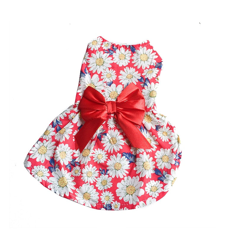 Sweet Bow Clothes for Cats - Red / XS - Clothes for cats