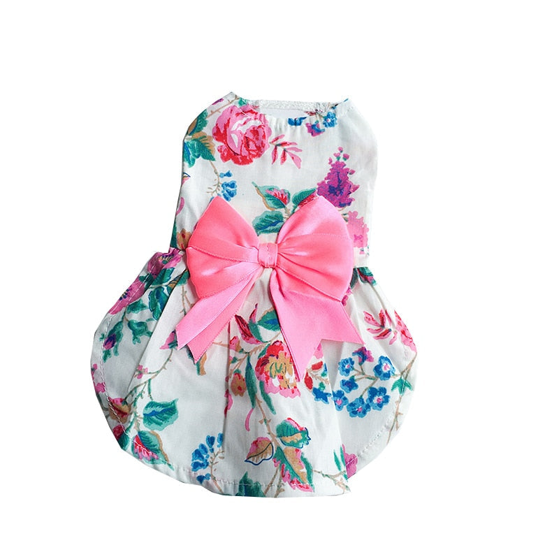 Sweet Bow Clothes for Cats - Fuchsia / XS - Clothes for cats
