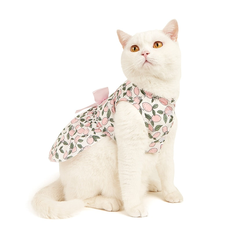 Sweet Bow Clothes for Cats - Clothes for cats
