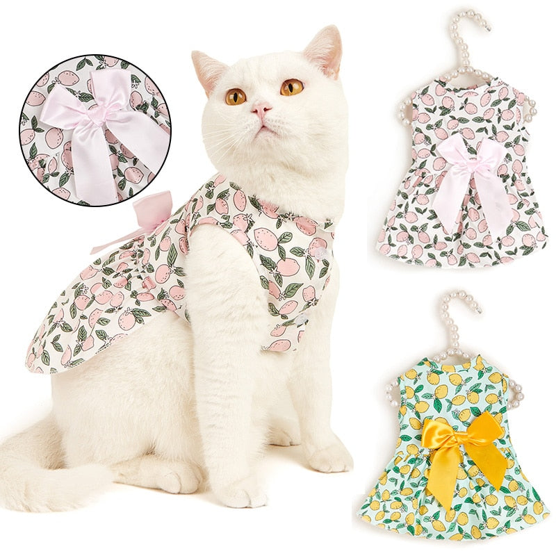 Sweet Bow Clothes for Cats - Clothes for cats