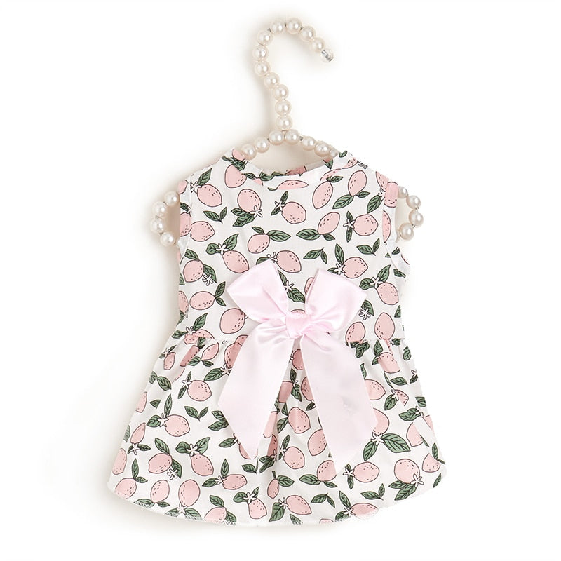 Sweet Bow Clothes for Cats - White / XS - Clothes for cats