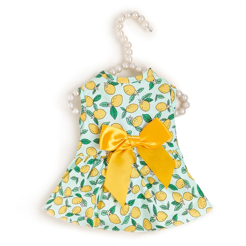 Sweet Bow Clothes for Cats - Yellow / XS - Clothes for cats