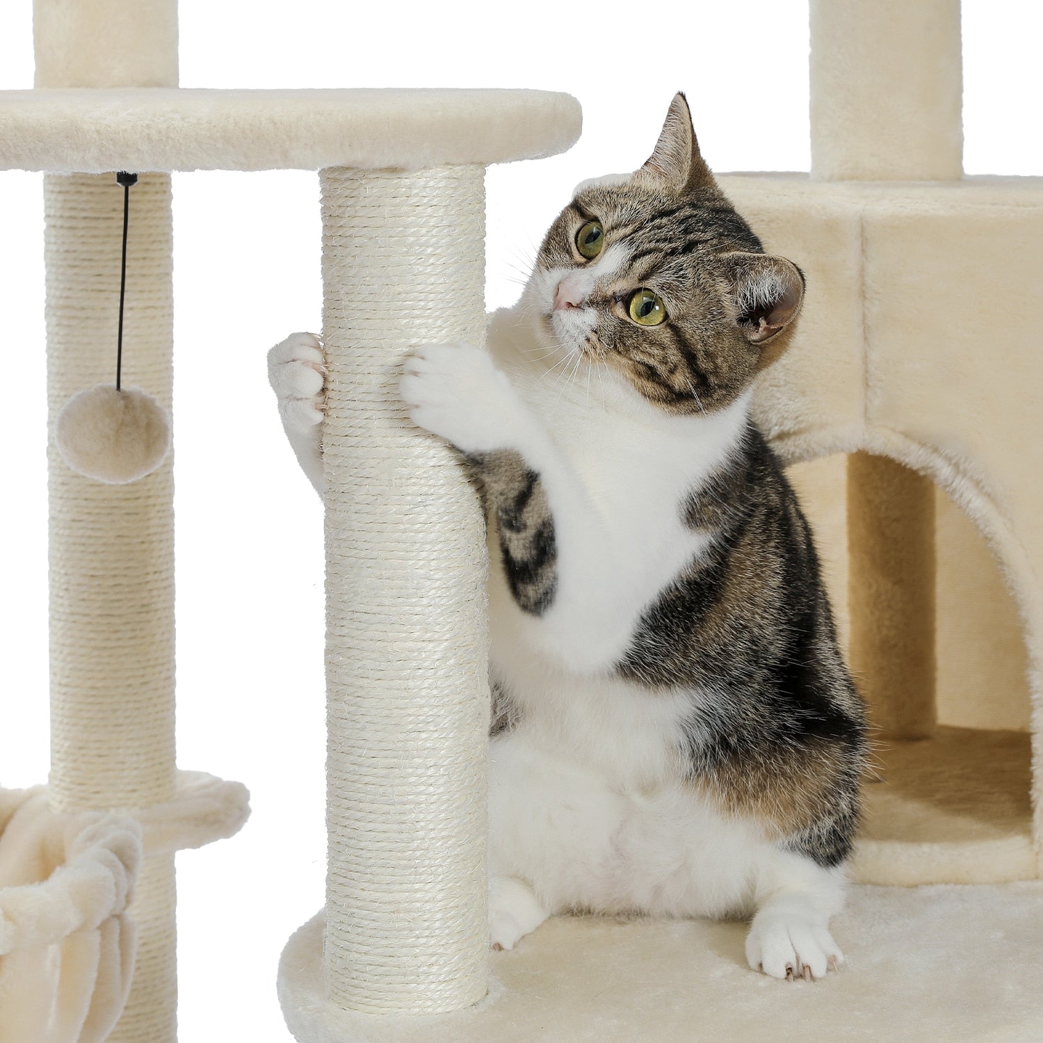 Whisker city cat on sale tower with cotton rope