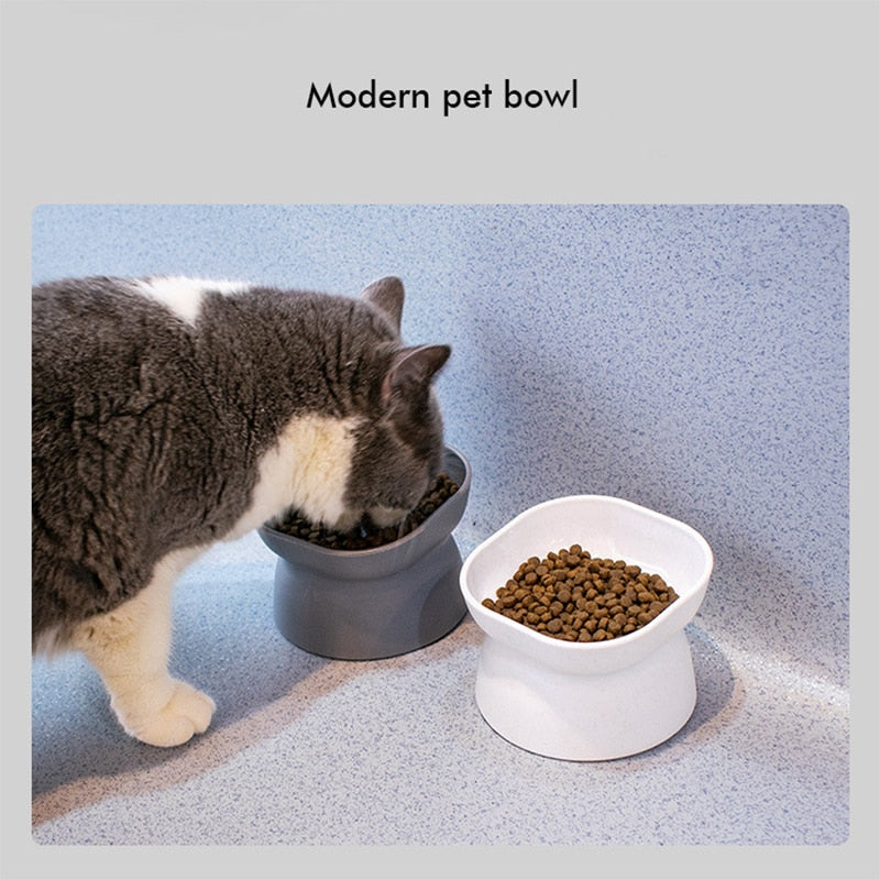 Tilted Cat Bowl - Cat Bowls