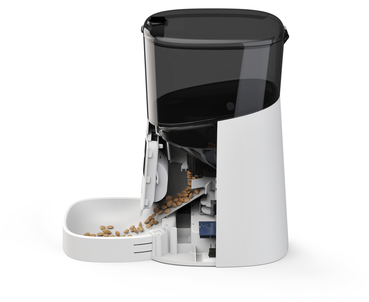 Timed Cat Food Dispenser - Cat Food Dispenser