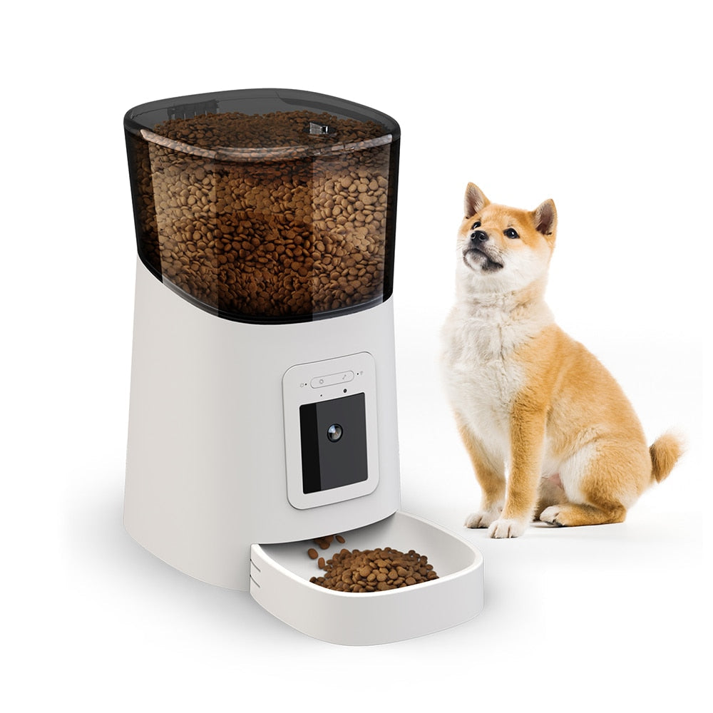 Timed Cat Food Dispenser - Cat Food Dispenser