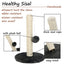 Toy Cat Scratch Post - Cat scratching post
