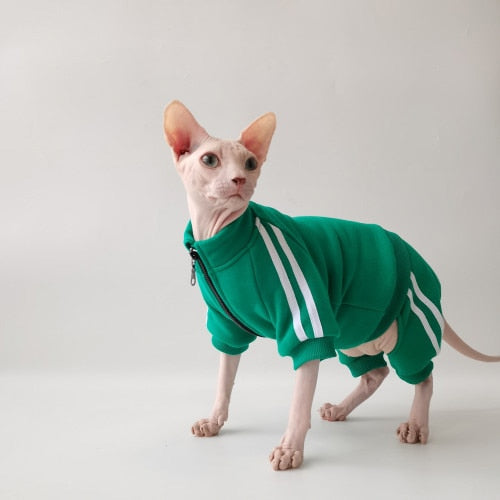 Cat in best sale adidas tracksuit