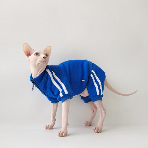Tracksuit Clothes for Cats - Blue / XS - Clothes for cats
