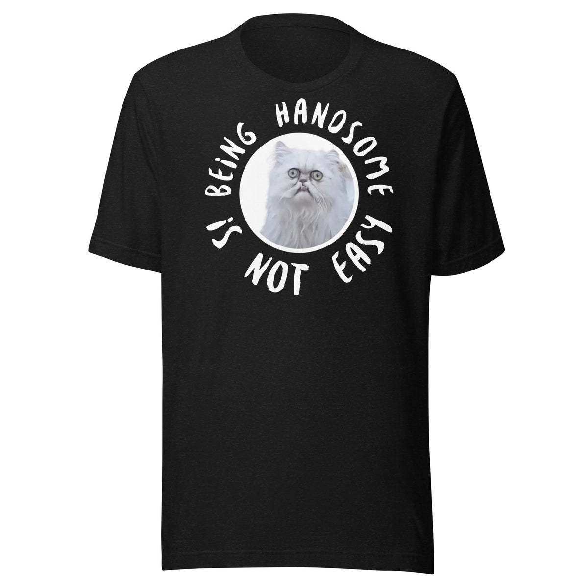 Ugly cat shirt
