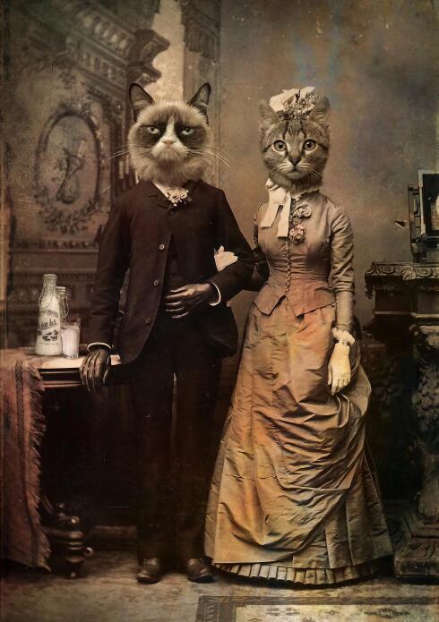 Victorian Cat Paintings - 20x30cm no frame / Brown